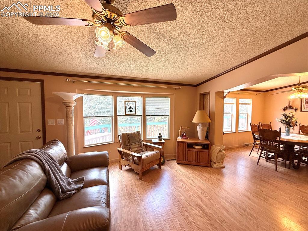 17 Amanda Circle Florissant CO 80816