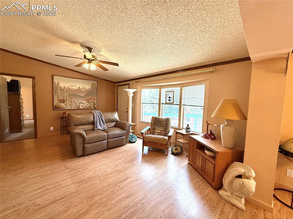 17 Amanda Circle Florissant CO 80816