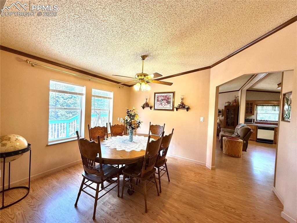 17 Amanda Circle Florissant CO 80816