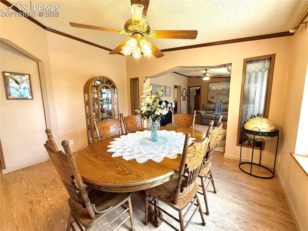 17 Amanda Circle Florissant CO 80816