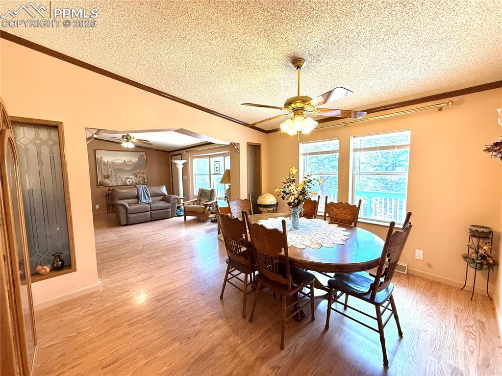 17 Amanda Circle Florissant CO 80816