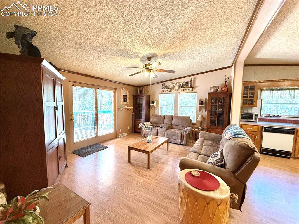 17 Amanda Circle Florissant CO 80816