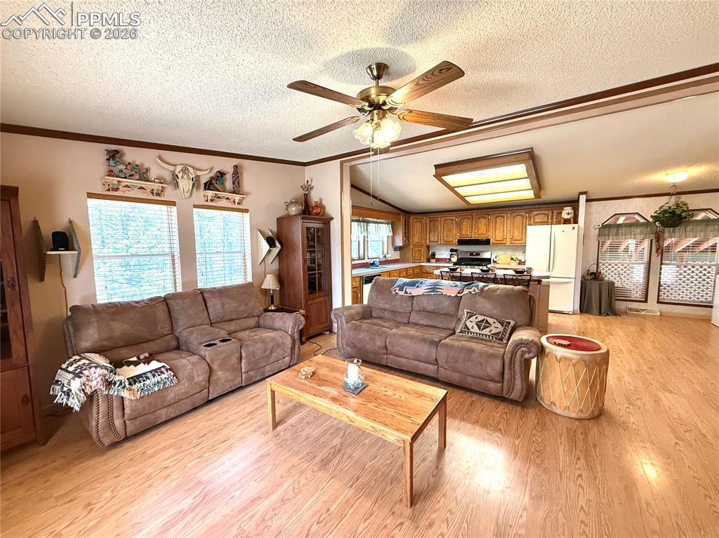 17 Amanda Circle Florissant CO 80816