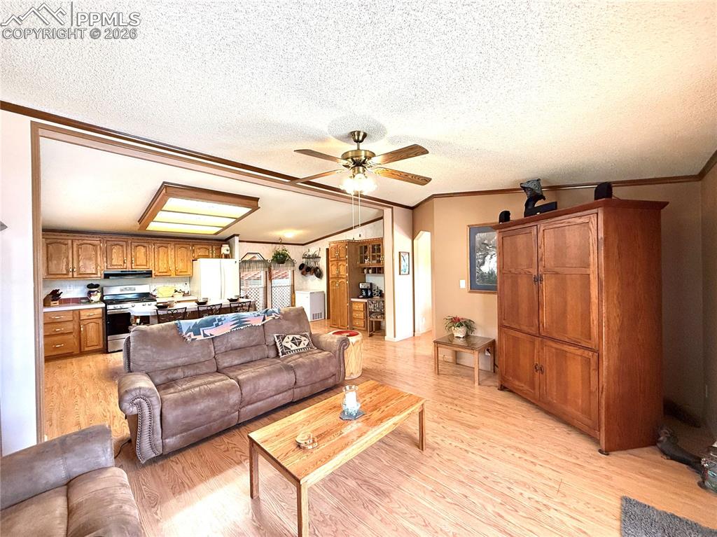 17 Amanda Circle Florissant CO 80816