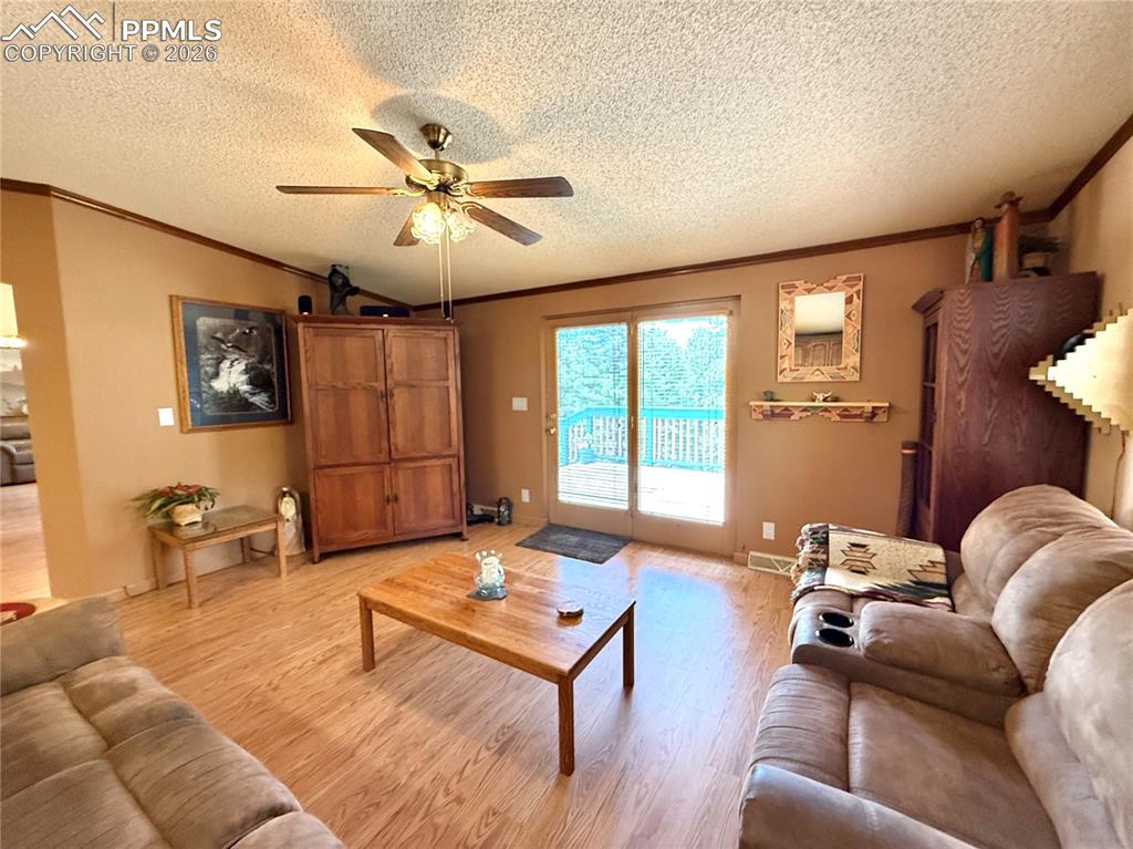 17 Amanda Circle Florissant CO 80816
