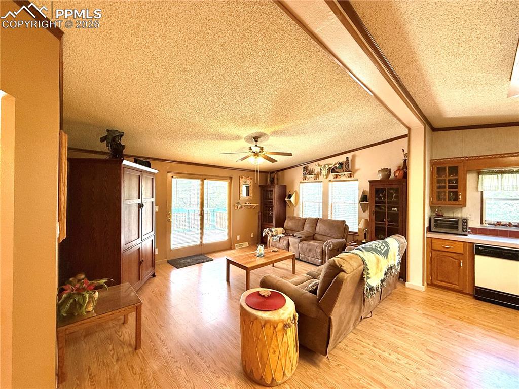 17 Amanda Circle Florissant CO 80816