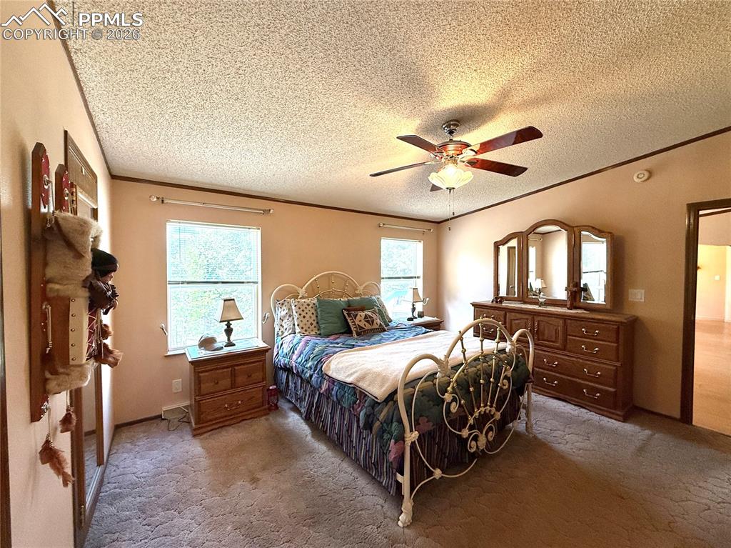 17 Amanda Circle Florissant CO 80816