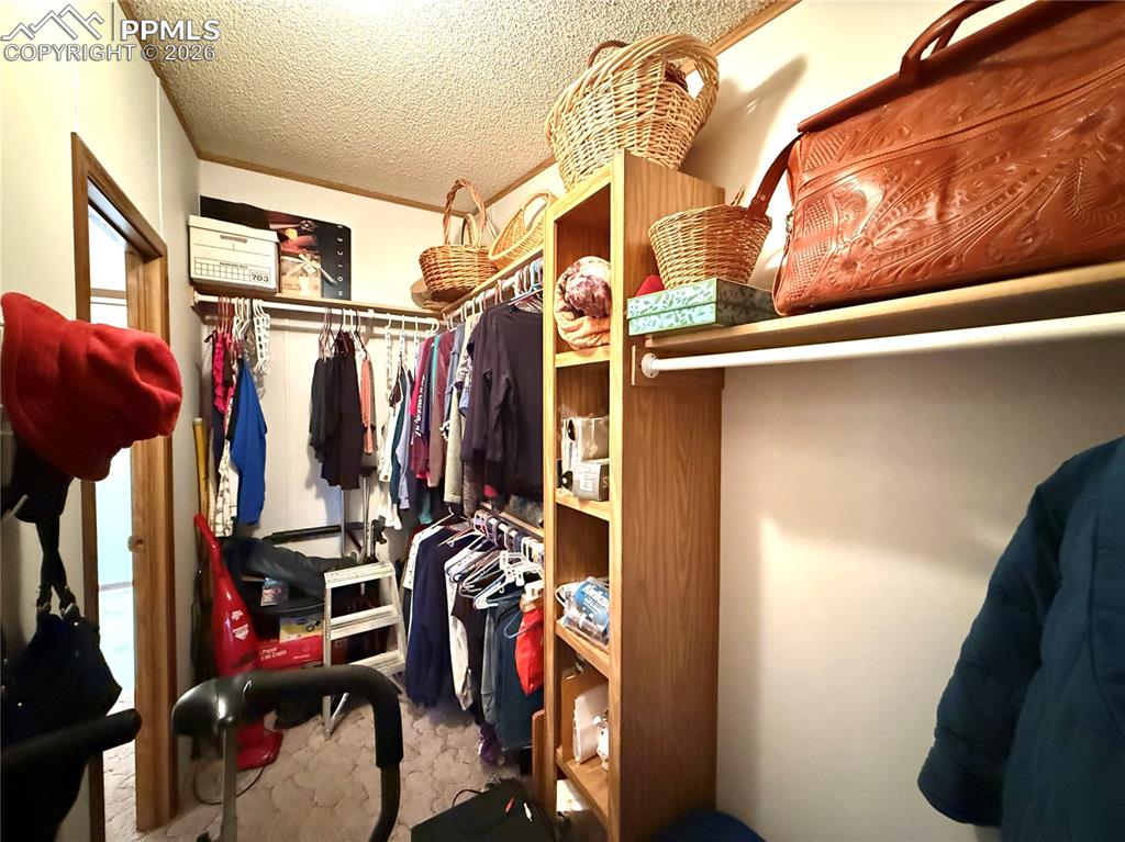 17 Amanda Circle Florissant CO 80816
