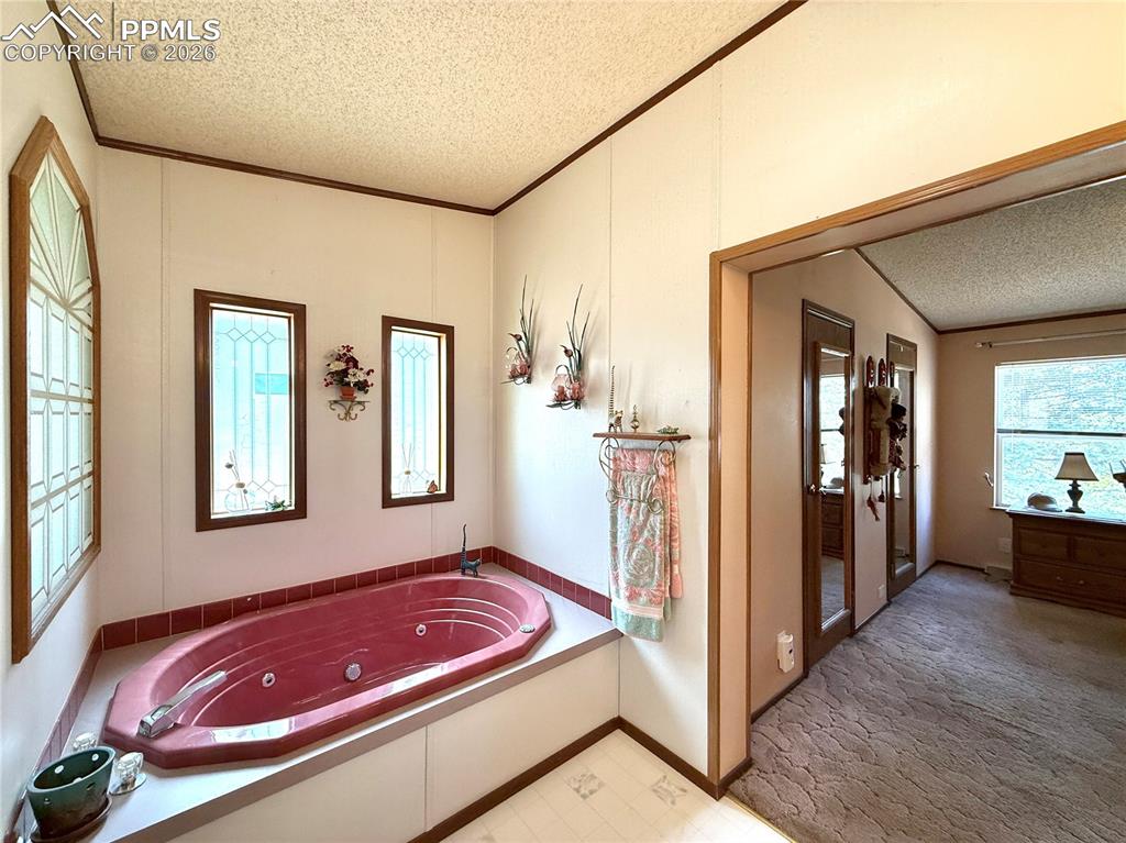 17 Amanda Circle Florissant CO 80816