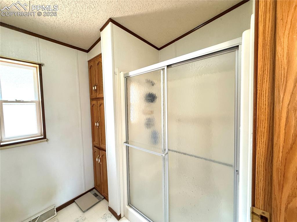 17 Amanda Circle Florissant CO 80816