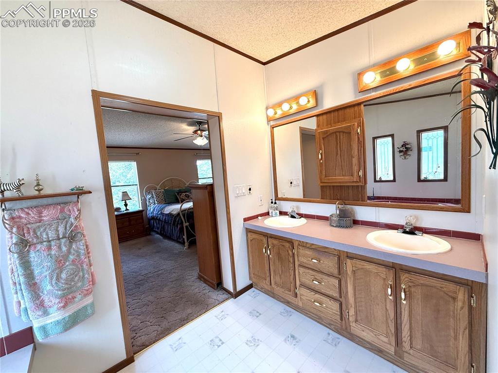 17 Amanda Circle Florissant CO 80816
