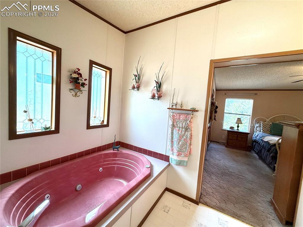 17 Amanda Circle Florissant CO 80816