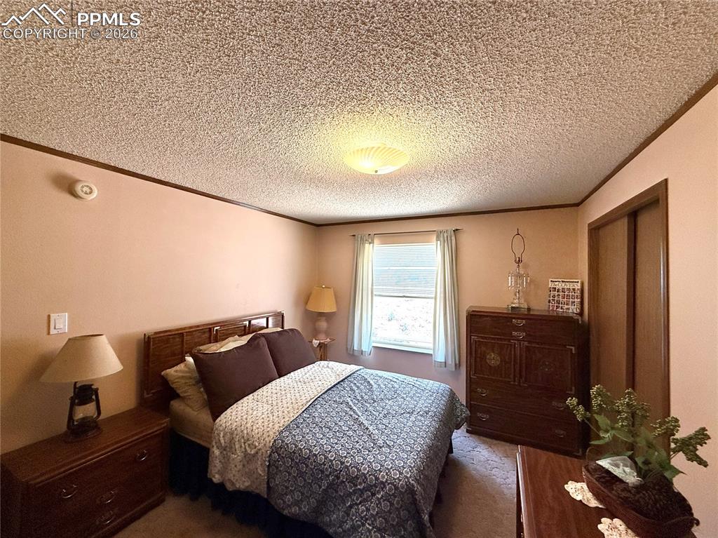 17 Amanda Circle Florissant CO 80816