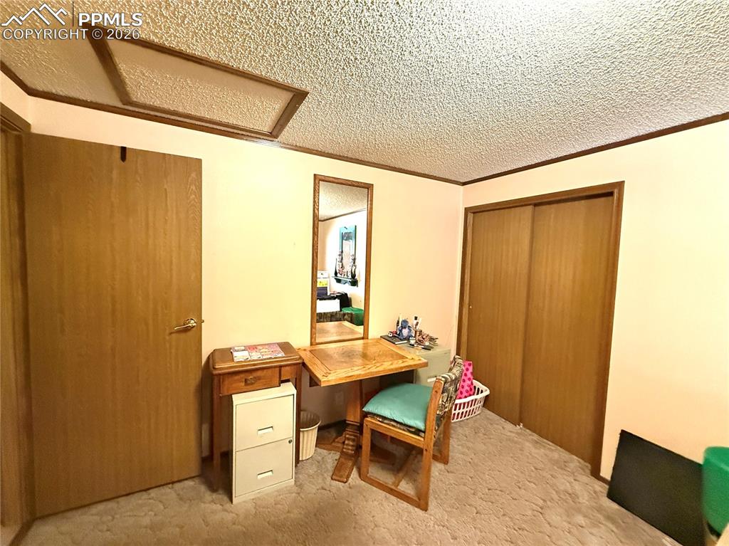 17 Amanda Circle Florissant CO 80816