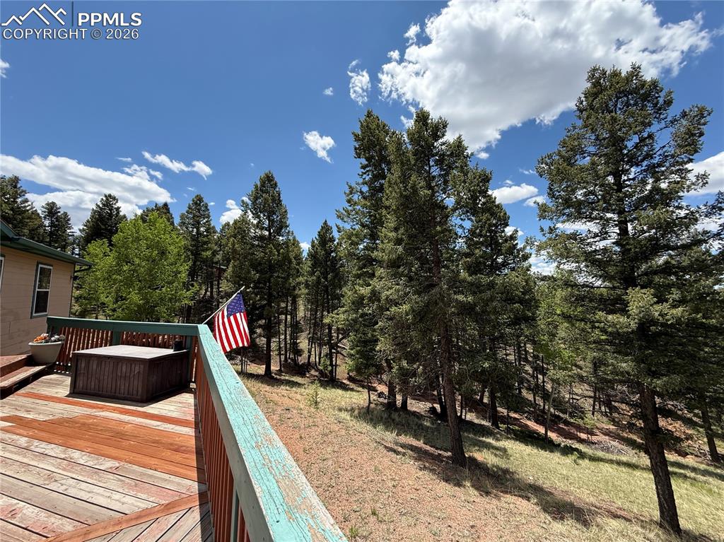 17 Amanda Circle Florissant CO 80816