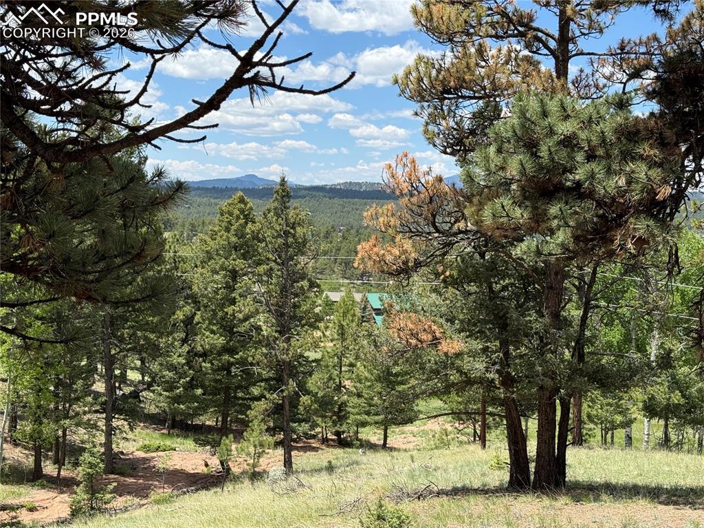 17 Amanda Circle Florissant CO 80816