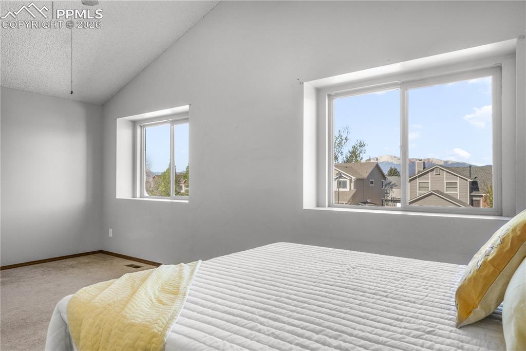 7955 Chancellor Drive Colorado Springs CO 80920