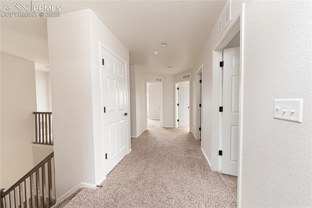 5934 Longford Way Colorado Springs CO 80927