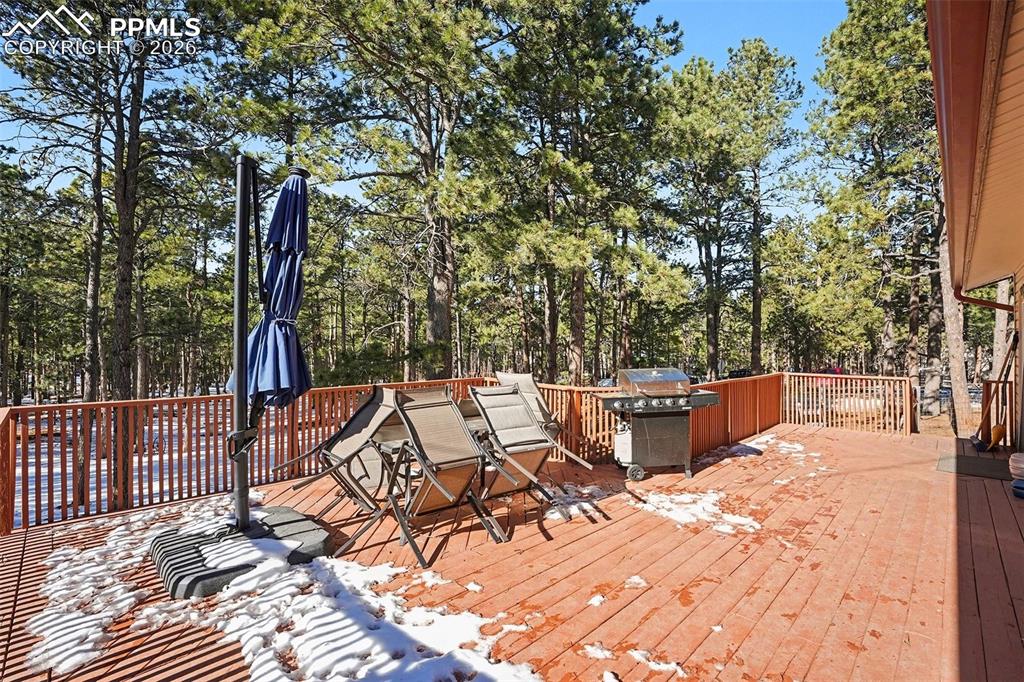 8265 Tannenbaum Road Colorado Springs CO 80908