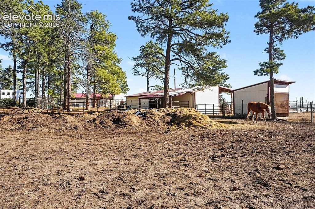 8265 Tannenbaum Road Colorado Springs CO 80908