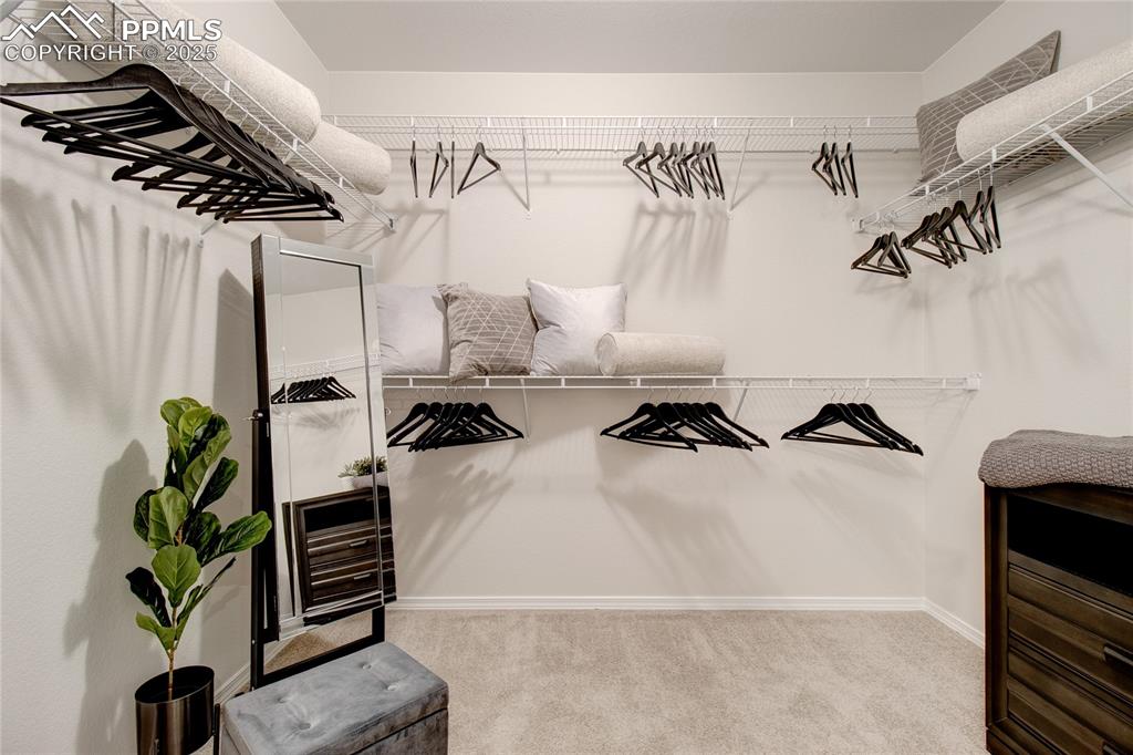 10307 Sundial Shadow Drive Colorado Springs CO 80924