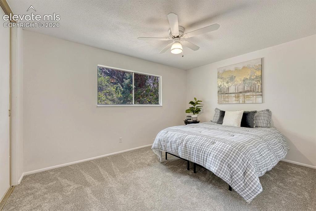 4607 Bella Drive Colorado Springs CO 80918