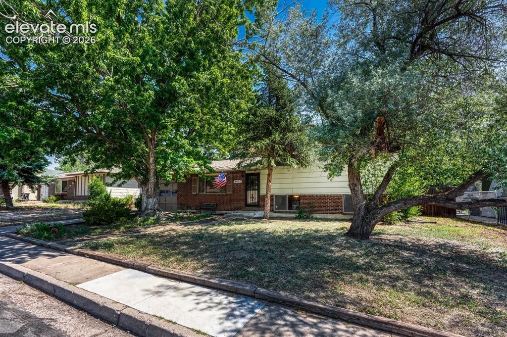 4607 Bella Drive Colorado Springs CO 80918