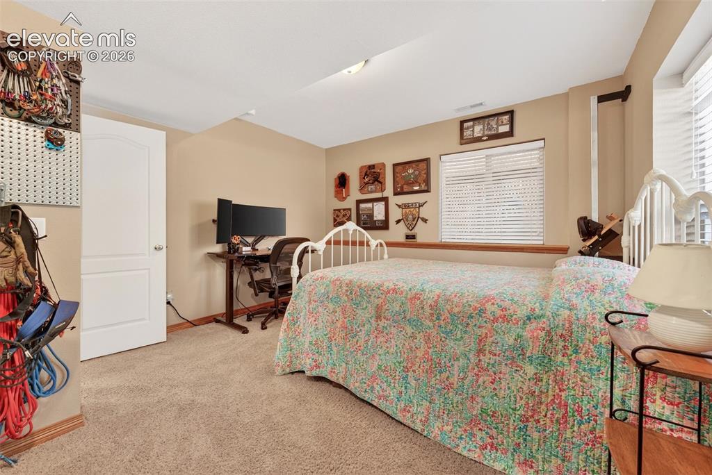 2141 Valley View Drive Woodland Park CO 80863
