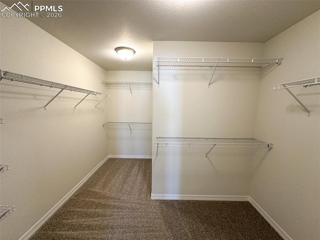 8259 Henzlee Place Colorado Springs CO 80831