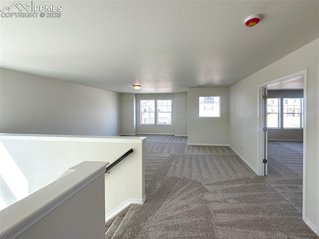 8259 Henzlee Place Colorado Springs CO 80831