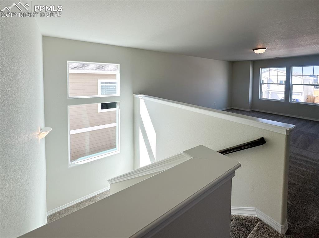 8259 Henzlee Place Colorado Springs CO 80831