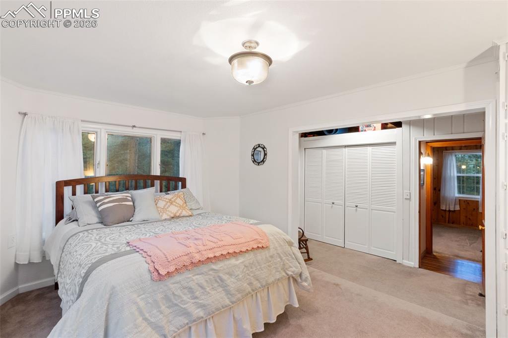 9450 Mohawk Trail Cascade CO 80809