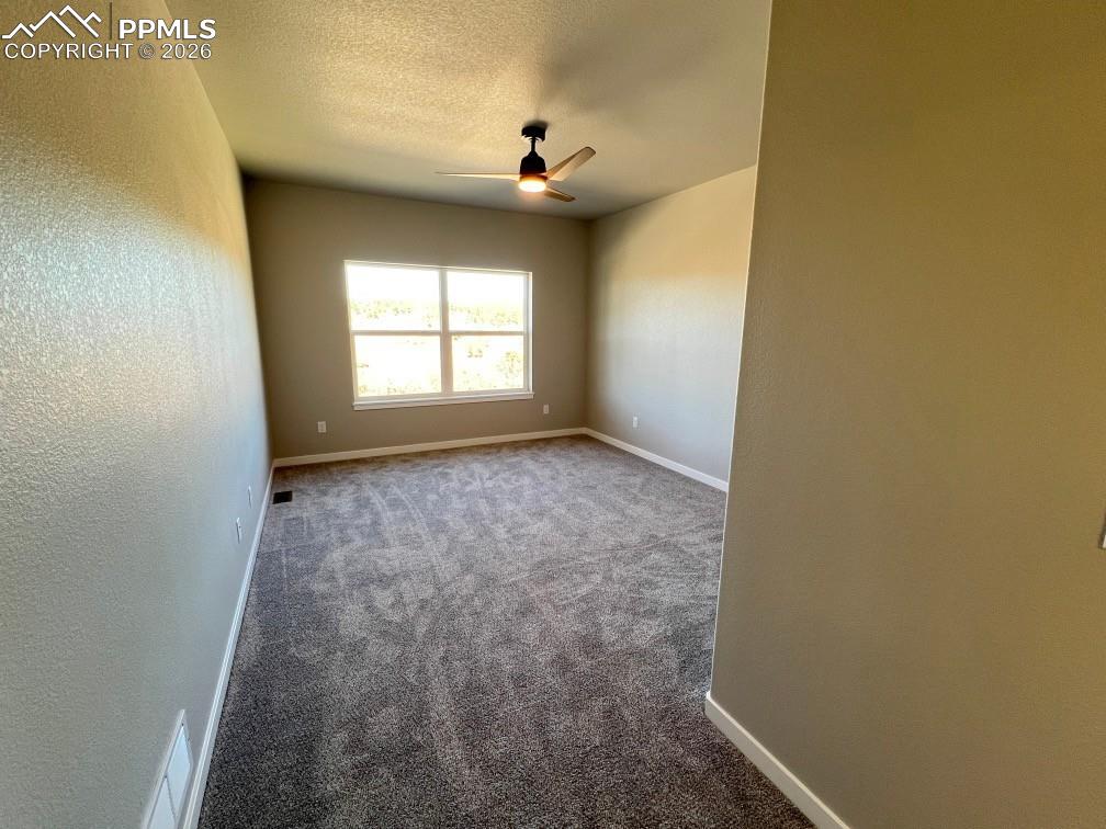 112 Limbach Court Monument CO 80132