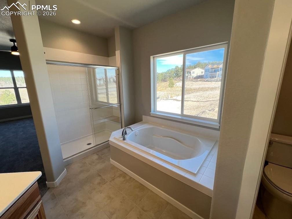 112 Limbach Court Monument CO 80132