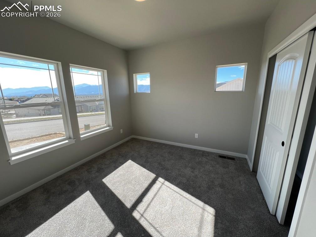112 Limbach Court Monument CO 80132