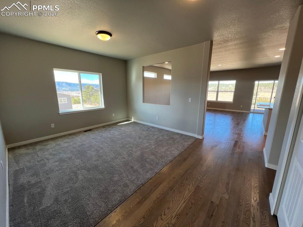 112 Limbach Court Monument CO 80132