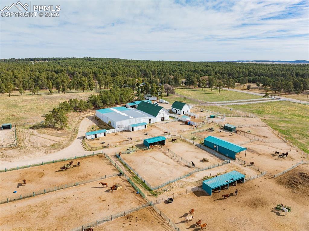13354 N Meridian Road Elbert CO 80106