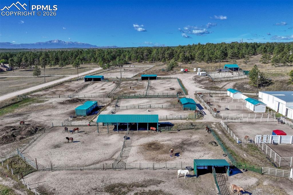 13354 N Meridian Road Elbert CO 80106