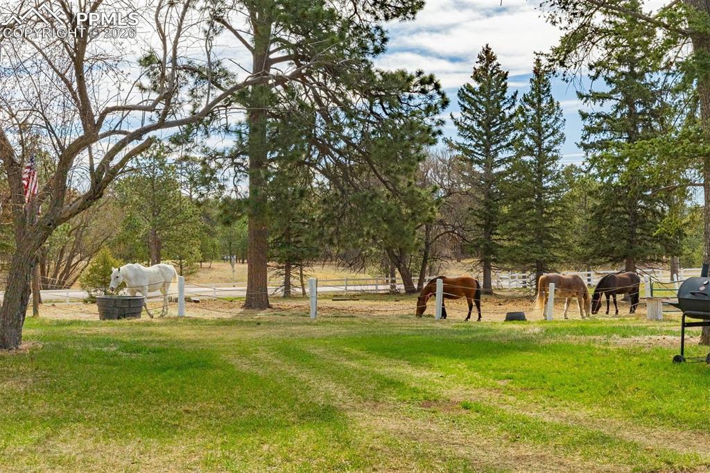 13354 N Meridian Road Elbert CO 80106
