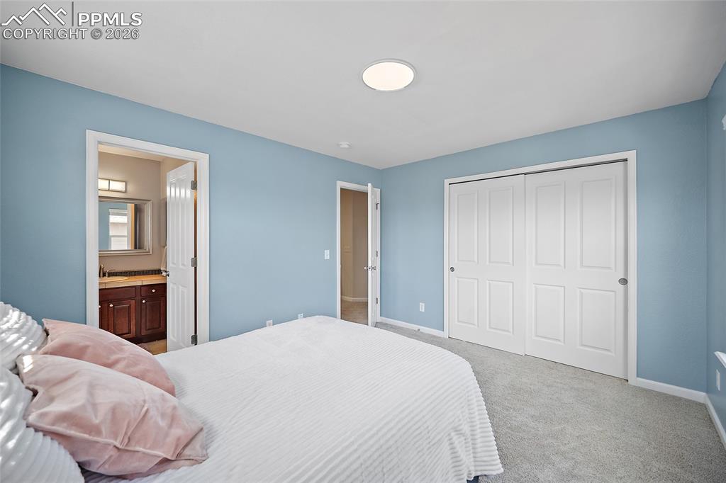 9065 Mcclintock Drive Colorado Springs CO 80924