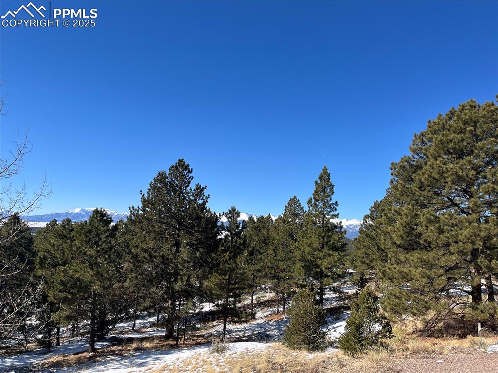 1234 Edelweiss Drive Westcliffe CO 81252