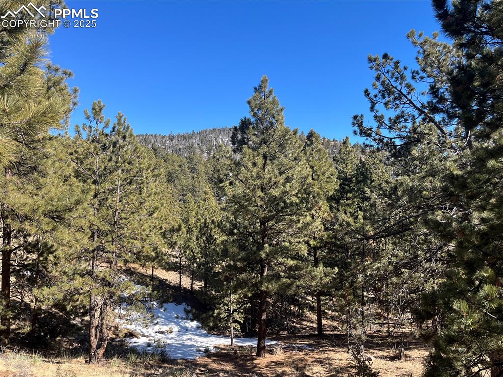 1234 Edelweiss Drive Westcliffe CO 81252
