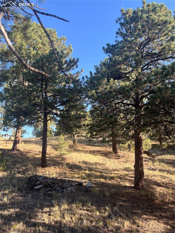 1234 Edelweiss Drive Westcliffe CO 81252