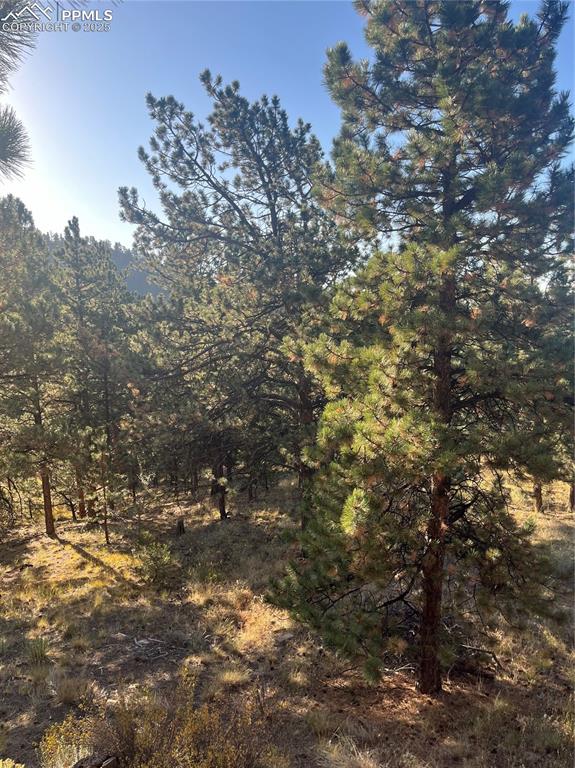 1234 Edelweiss Drive Westcliffe CO 81252