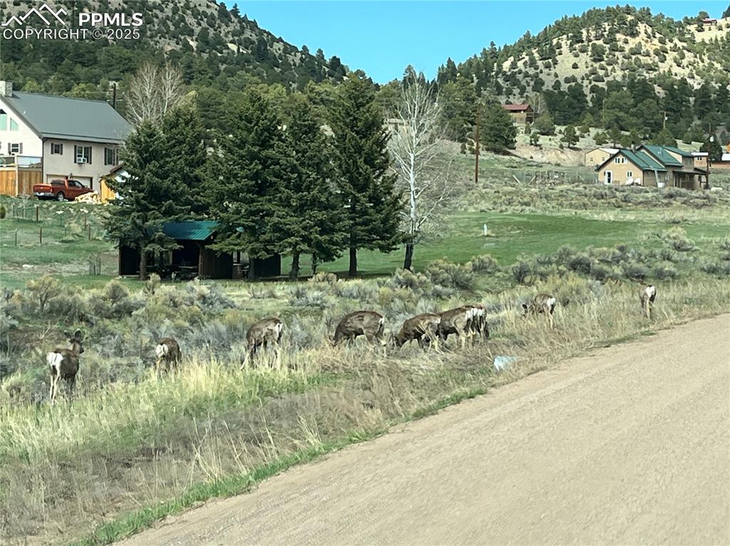 1234 Edelweiss Drive Westcliffe CO 81252