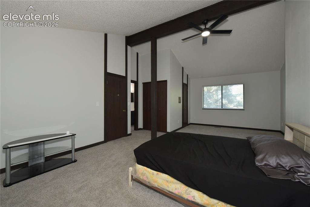 6408 Galway Drive Colorado Springs CO 80918