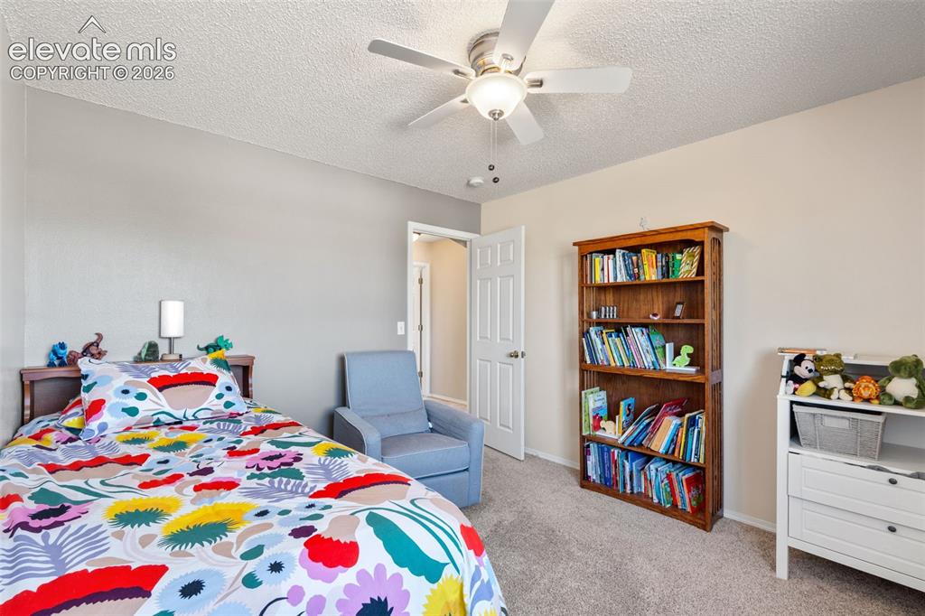 8006 Cooper River Drive Colorado Springs CO 80920