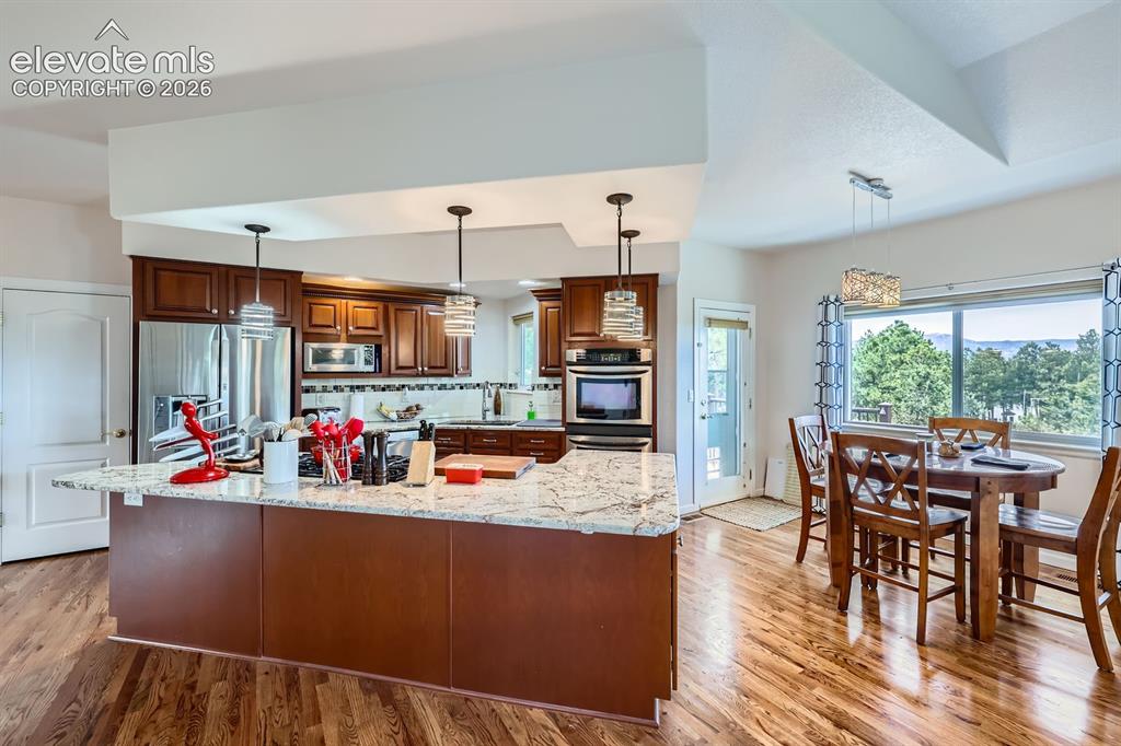 17572 Saddle Ridge Court Monument CO 80132
