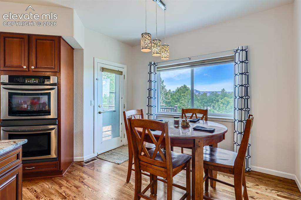 17572 Saddle Ridge Court Monument CO 80132