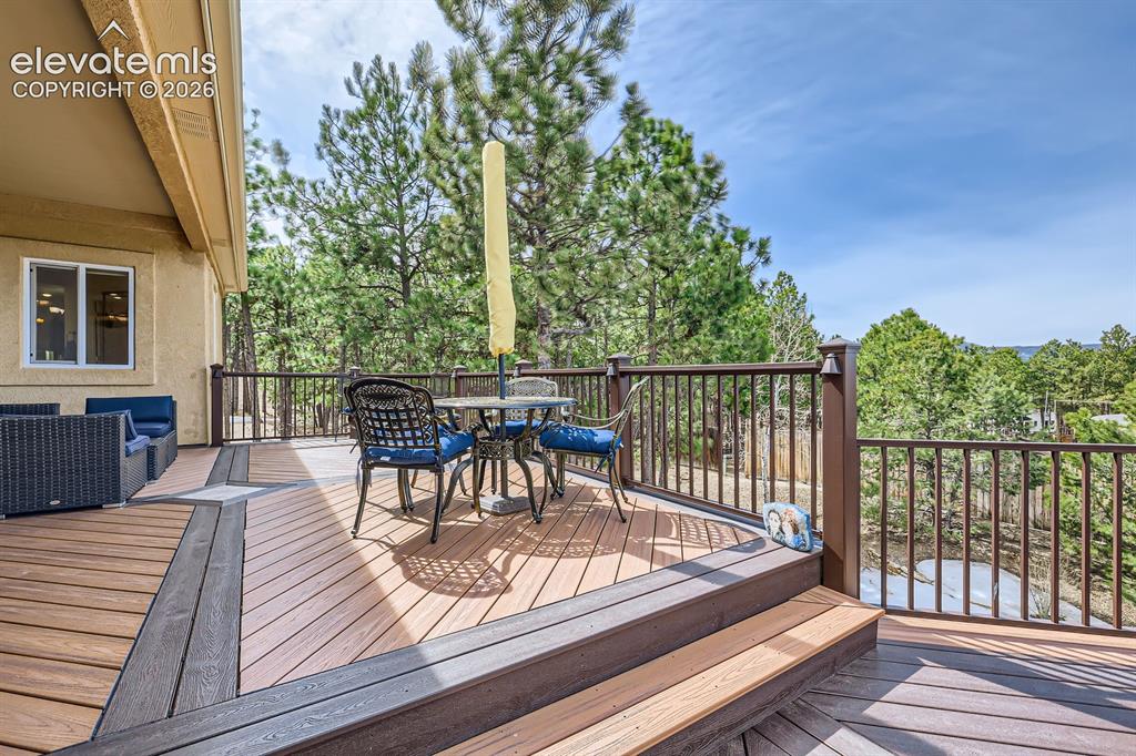 17572 Saddle Ridge Court Monument CO 80132